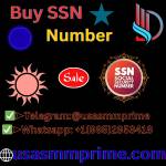 Buy SSN Number Profile Picture