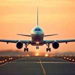 Olivia Robert Profile Picture