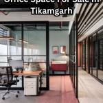 Reeltor Showroom Profile Picture