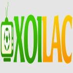 Xôi Lạc Profile Picture