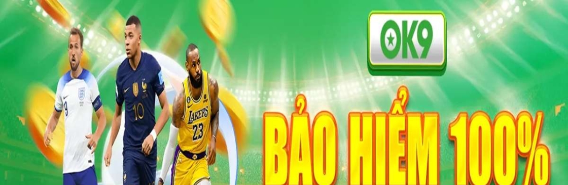 Ok9 Business Cover Image