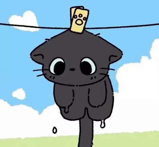 tion puri Profile Picture