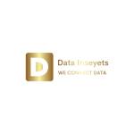 data inseyets Profile Picture