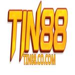 tin88co com Profile Picture