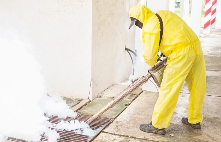How Mold Can Affect Your Property Value and How to Prevent It? - TechBullion