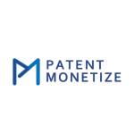 patentmonetize service Profile Picture
