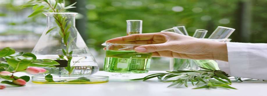 PlatinumLearning Cover Image