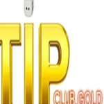 tipclub gold Profile Picture