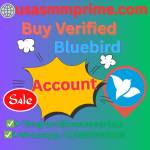 Buy Verified Bluebird Account Profile Picture