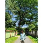 Akash K Profile Picture