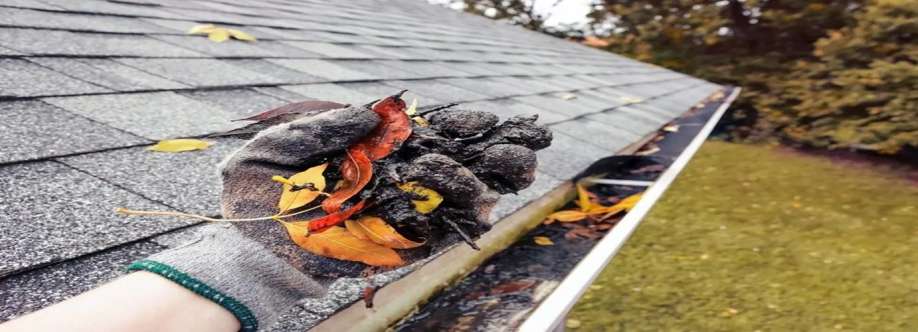 Roof Gutter Cleaning Geelong Cover Image