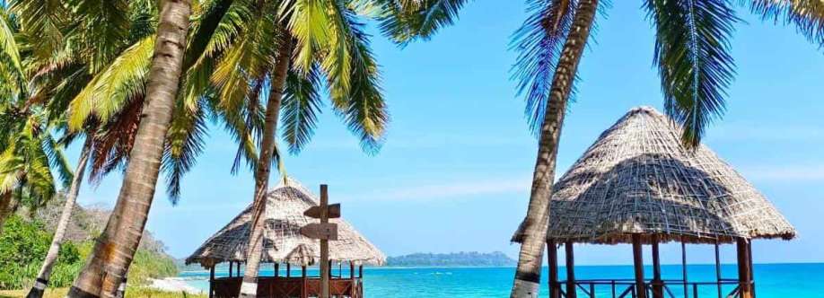 Blue Andaman Tour Cover Image