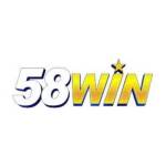 58Win Capital Profile Picture