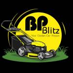 BP Blitz Profile Picture