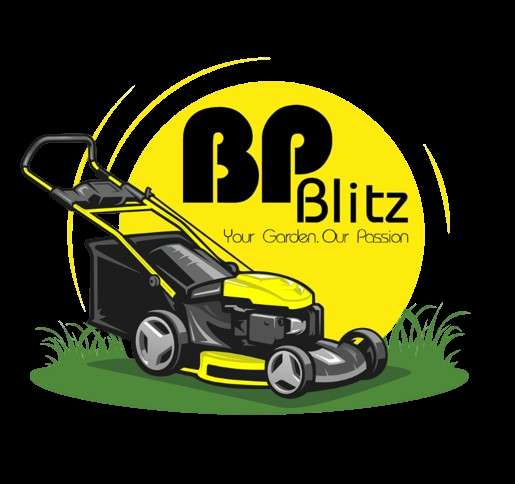 BP Blitz Profile Picture