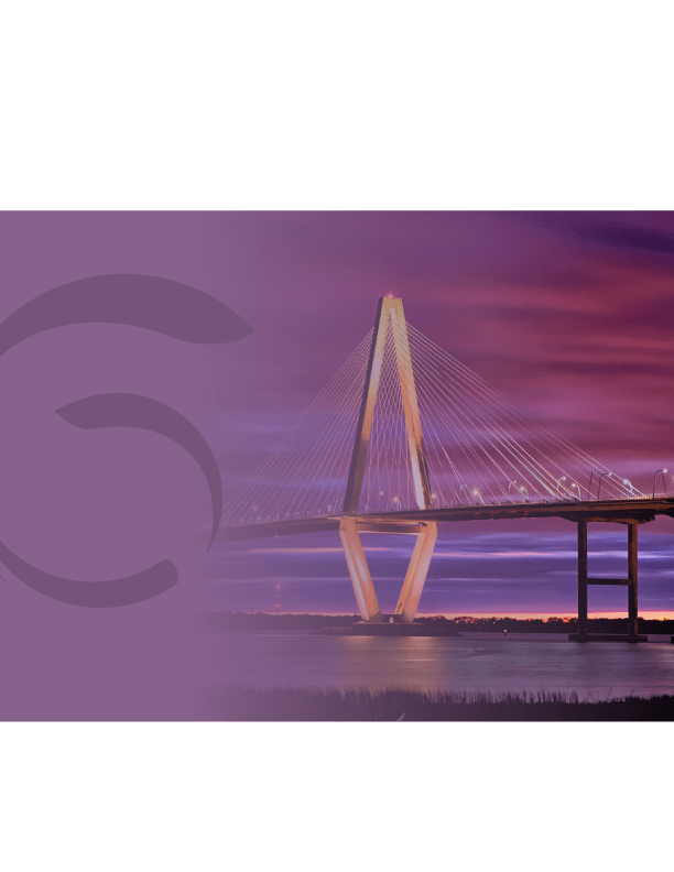 Mt Pleasant SC Financial Advisor • Wealth Management & Retirement Planning • Charleston Area