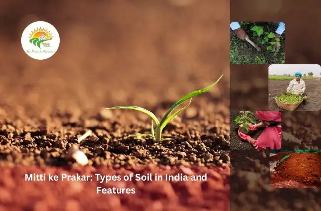 मिट्टी के प्रकार (mitti ke prakar) : भारत में मिट्टी के प्रकार और विशेषताएँ