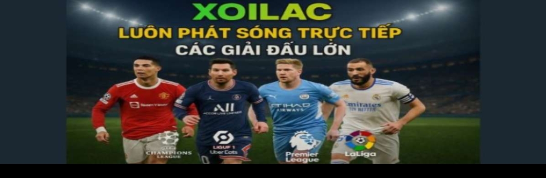 maniffestocom giả mạo Cover Image