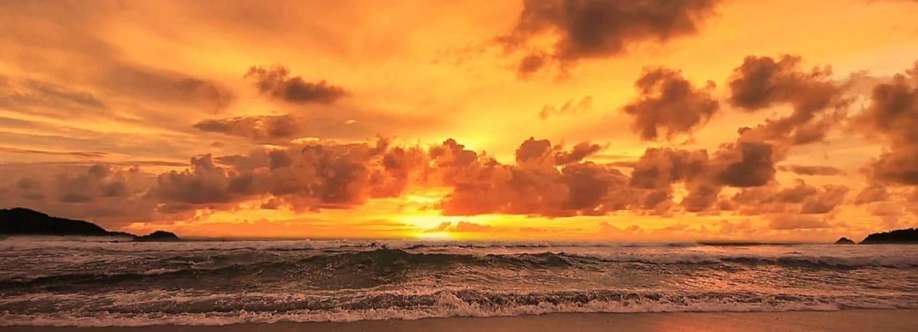 Alejandro Erickson Cover Image