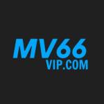 MV66VIP COM Profile Picture