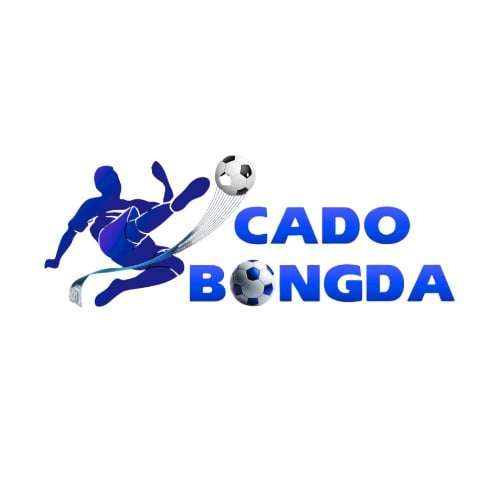 Nhà cái Cá Độ Bóng Đá Profile Picture