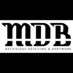 Meticulous Detailing Profile Picture