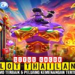 slot thailand Profile Picture