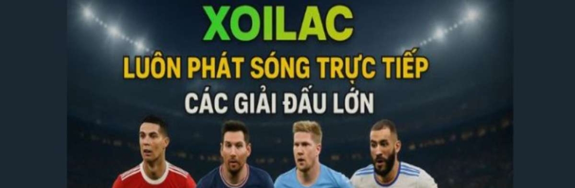 maniffesto com manipulates results Cover Image