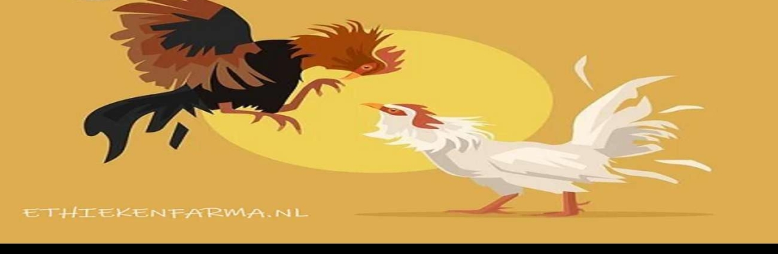 thomohomnay ĐÁ GÀ TRỰC TIẾP Cover Image