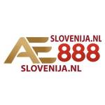 ĐÁ GÀ THOMO AE888 Profile Picture