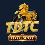 TDTC Thiên Đường Trò Chơi Profile Picture