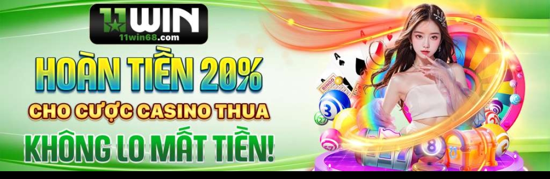 11WIN 68COM Cover Image