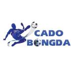 Nhà cái Cá Độ Bóng Đá Profile Picture