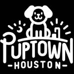 Houston dog trainer Profile Picture