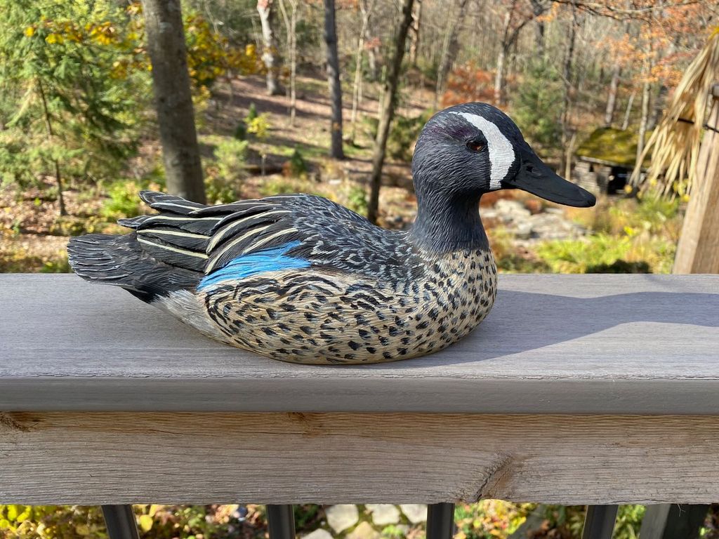 Blue Winged Teal Decoys - The Wooden Bird