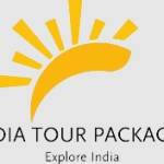 indiatou rpackages Profile Picture