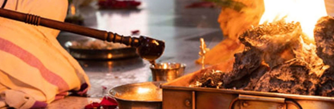 My Palm Leaf Cover Image