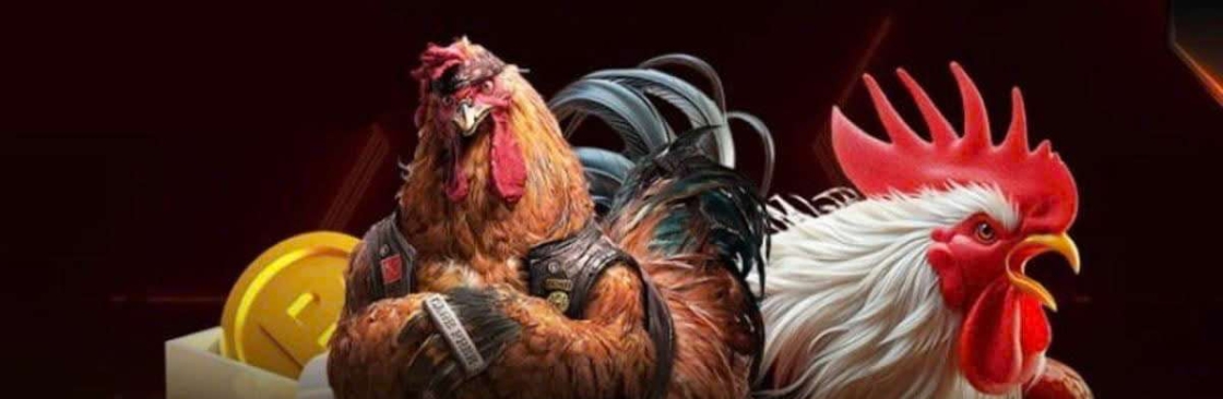 BẢO STING Cover Image