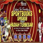 sms808 Profile Picture