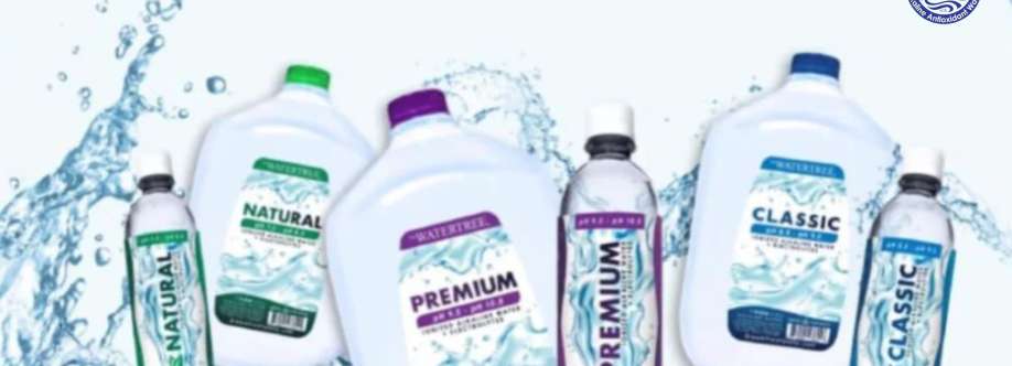 Water Tree Cypress Cover Image