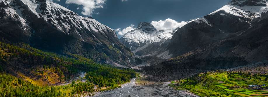 Goldseal Shilajit Cover Image