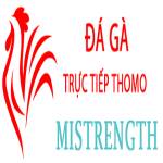 Đá Gà Trực Tiếp Thomo Profile Picture