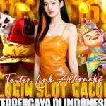 basket168 Profile Picture