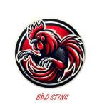 BẢO STING Profile Picture
