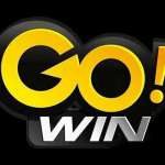 GoWin Profile Picture