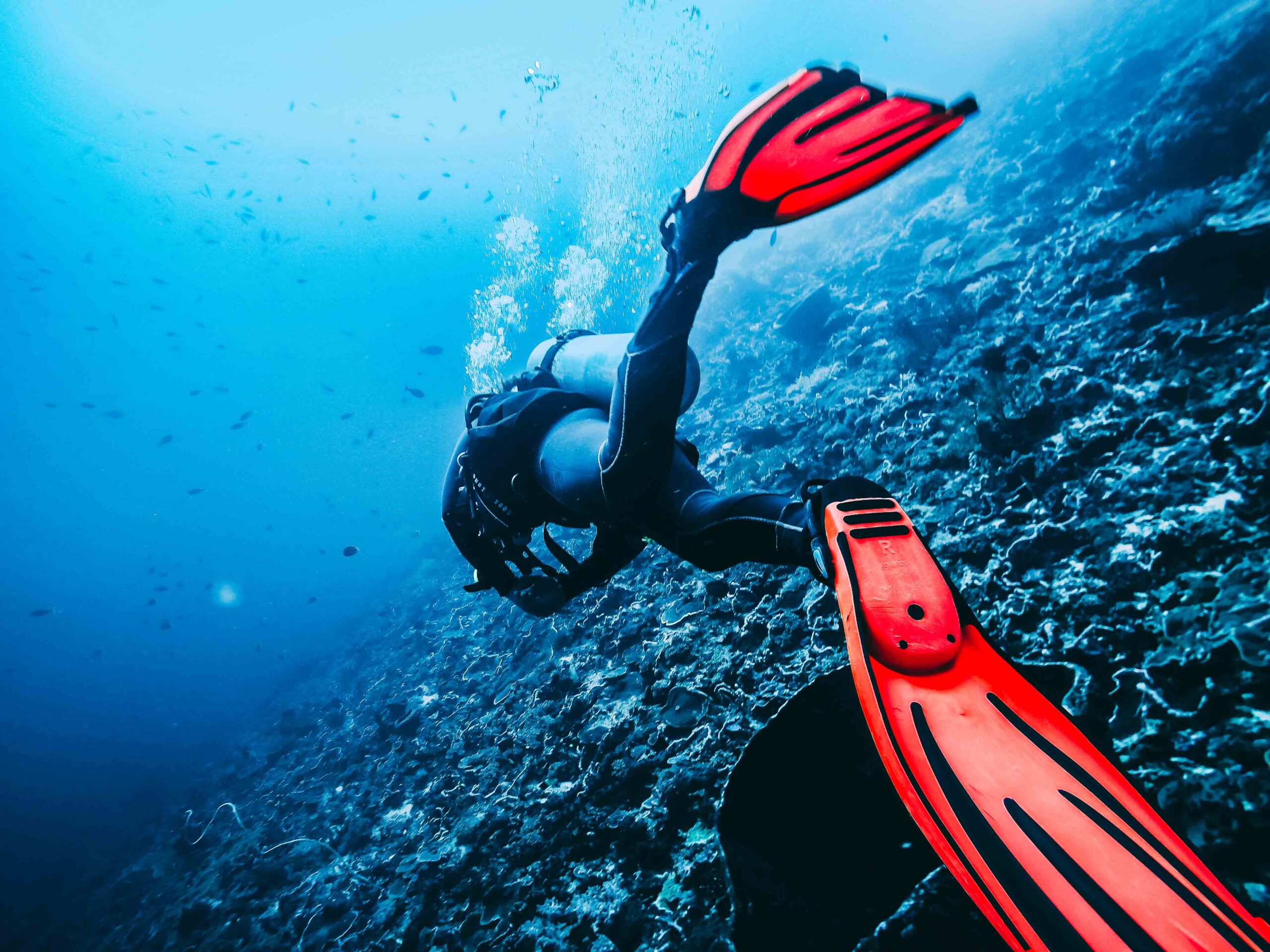 Plongée et snorkeling à Nusa Penida avec Karma Diving