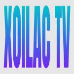 frogmouthclothing gia mao Profile Picture