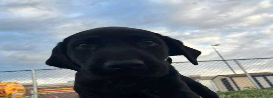 A Worthey Ride Cover Image