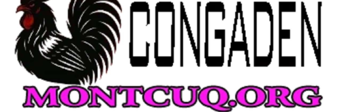 CONGADEN TRỰC TIẾP ĐÁ GÀ THOMO Cover Image