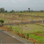 reeltor official Profile Picture